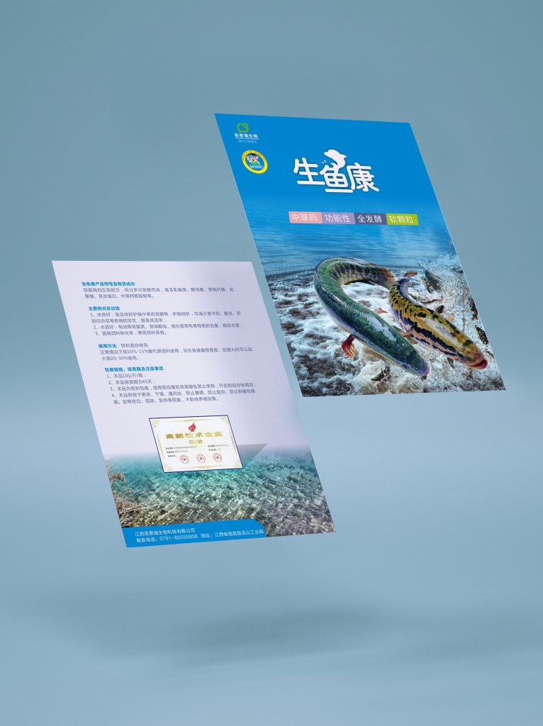 迈吉